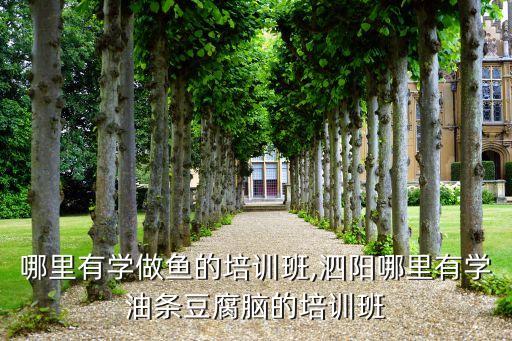 南通哪里有學做魚的培訓班,泗陽哪里有學油條豆腐腦的培訓班?...
